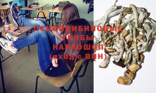 2c-b Алзамай